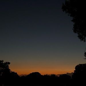 Meet your Posher, Jose